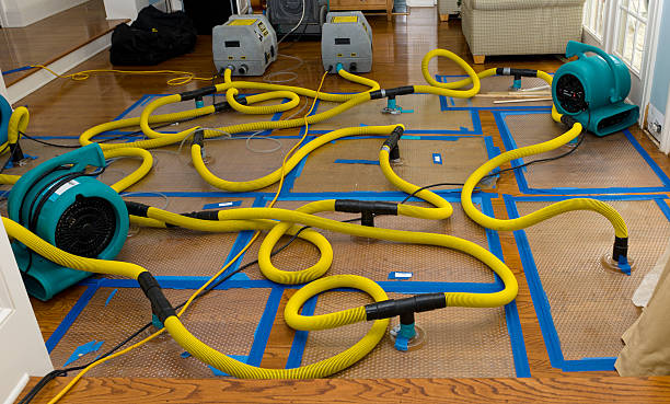 Professional Basement Flood Cleanup technician working in Elko, SC